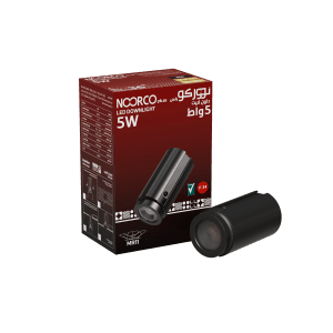صورة Recessed Downlight 24W